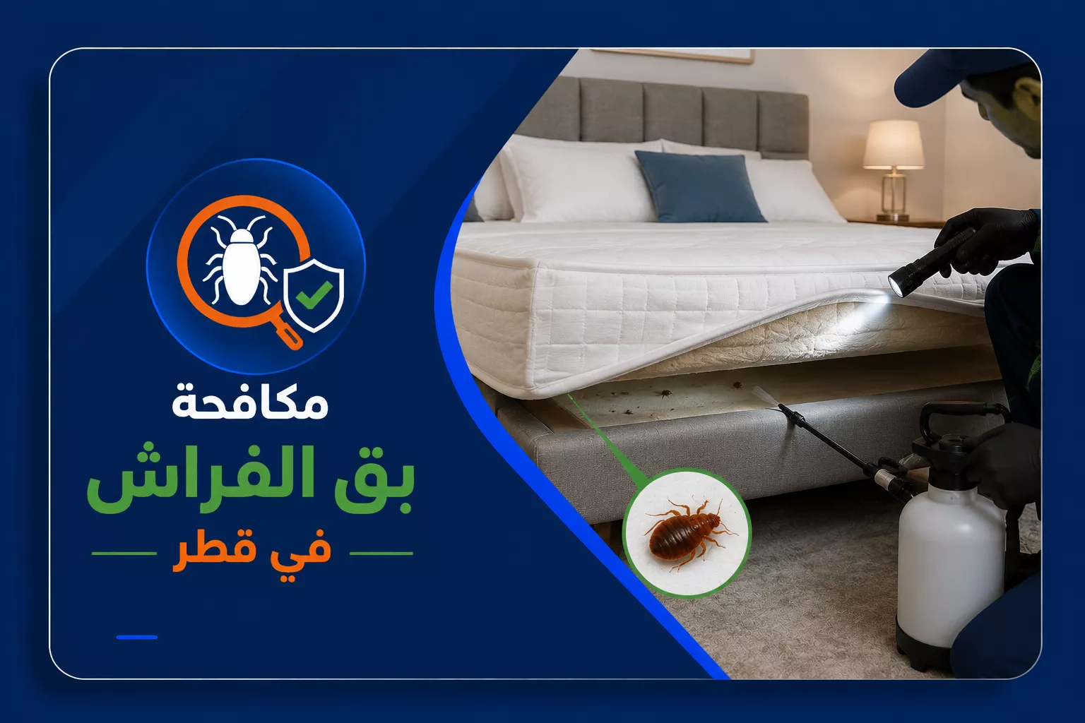 مكافحة بق الفراش في قطر