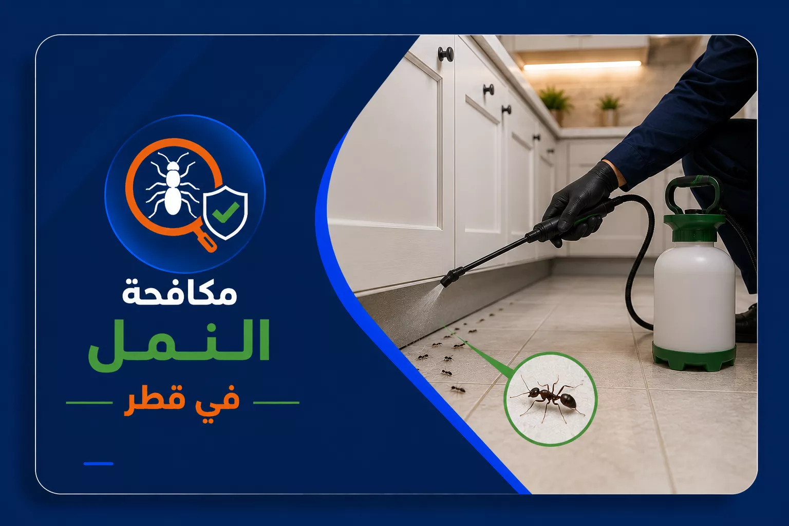 مكافحة النمل في قطر