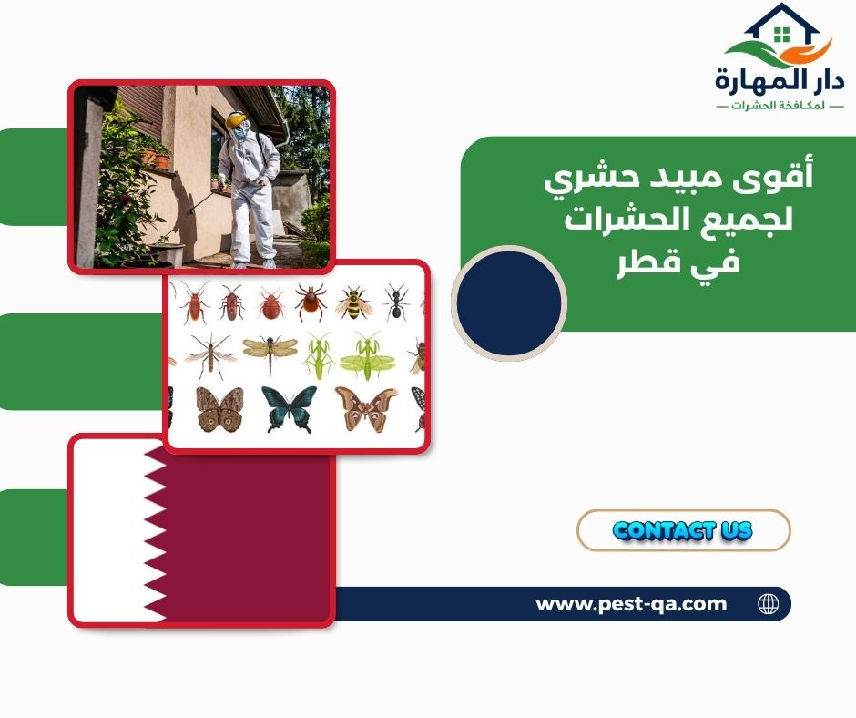 أقوى مبيد حشري لجميع الحشرات في قطر