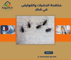 مكافحة الحشرات والقوارض في قطر