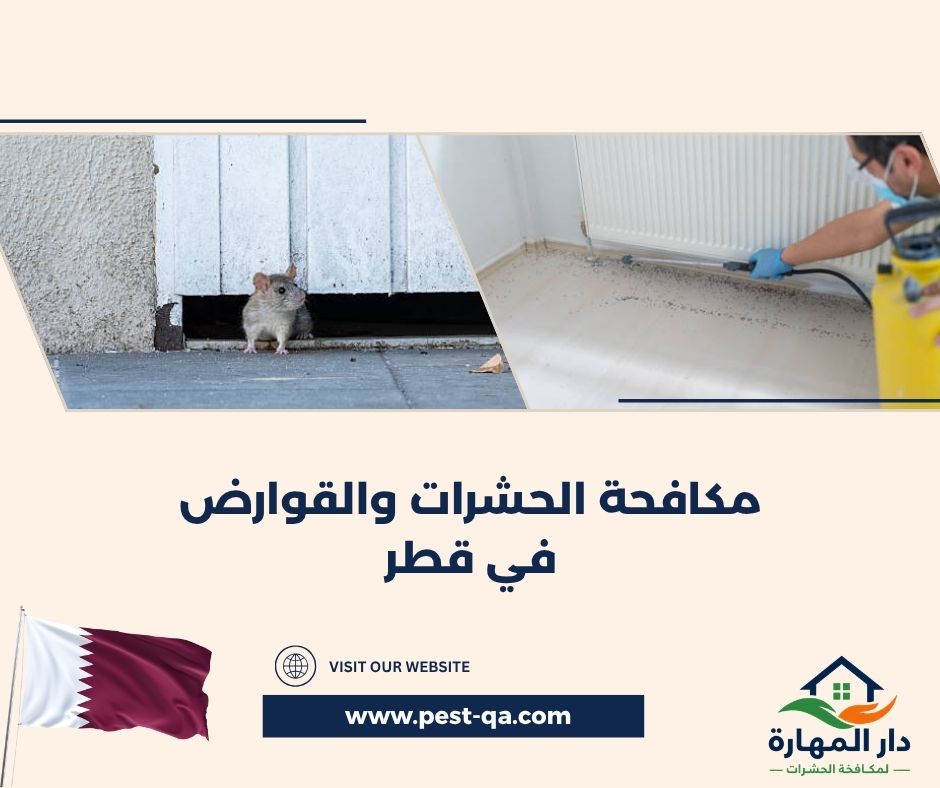 مكافحة الحشرات والقوارض في قطر مكافحة الحشرات والقوارض في قطر