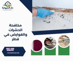 مكافحة الحشرات والقوارض في قطر