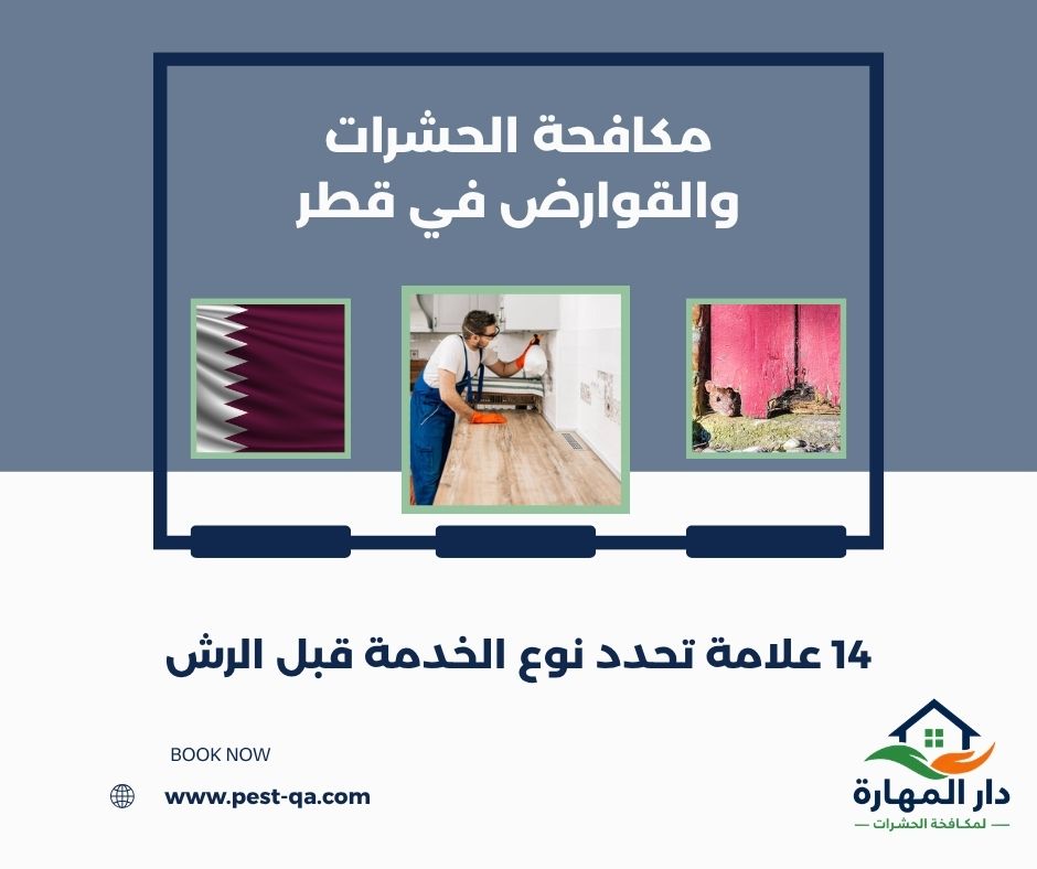 مكافحة الحشرات والقوارض في قطر