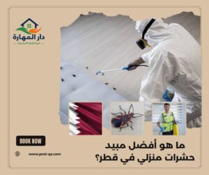 ما هو أفضل مبيد حشرات منزلي في قطر؟