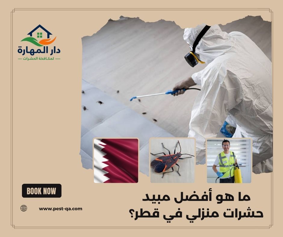 ما هو أفضل مبيد حشرات منزلي في قطر؟