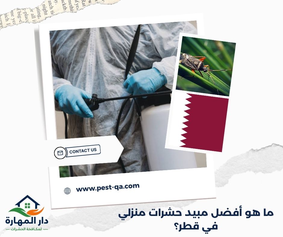ما هو أفضل مبيد حشرات منزلي في قطر؟