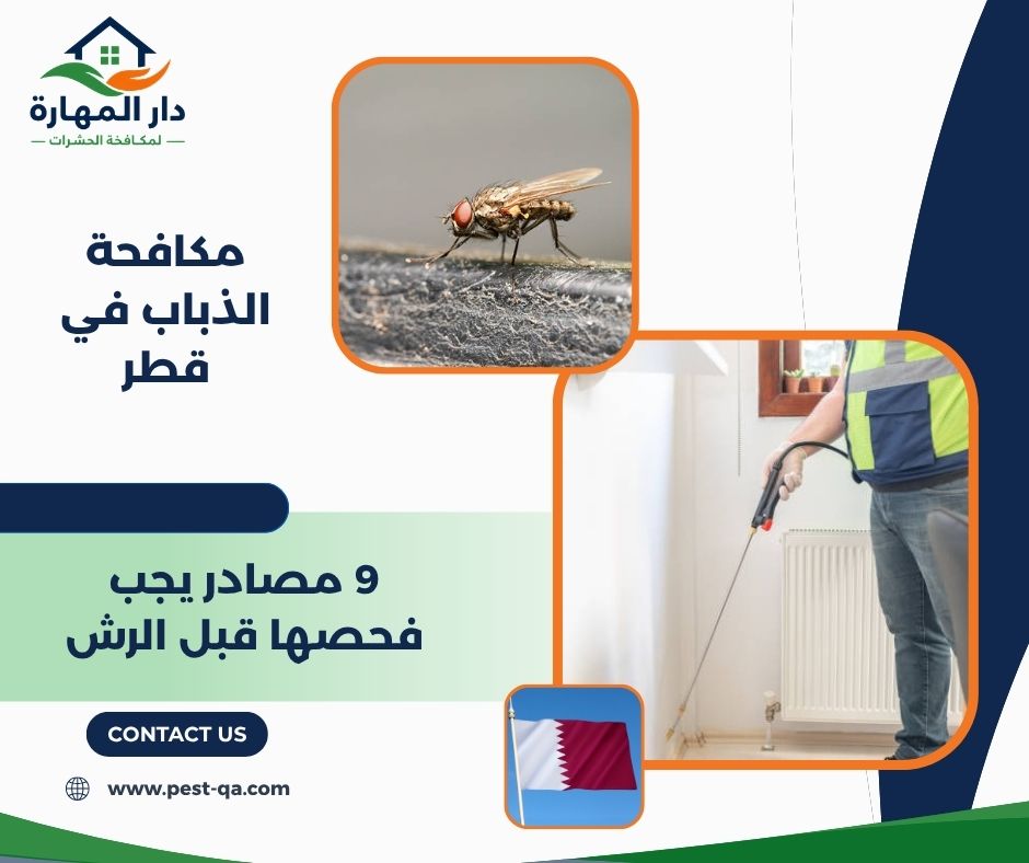 مكافحة الذباب في قطر