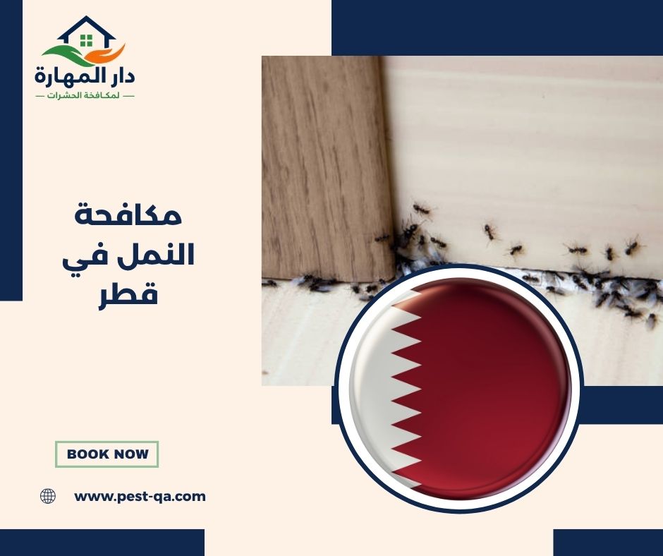 مكافحة النمل في قطر مكافحة النمل في قطر