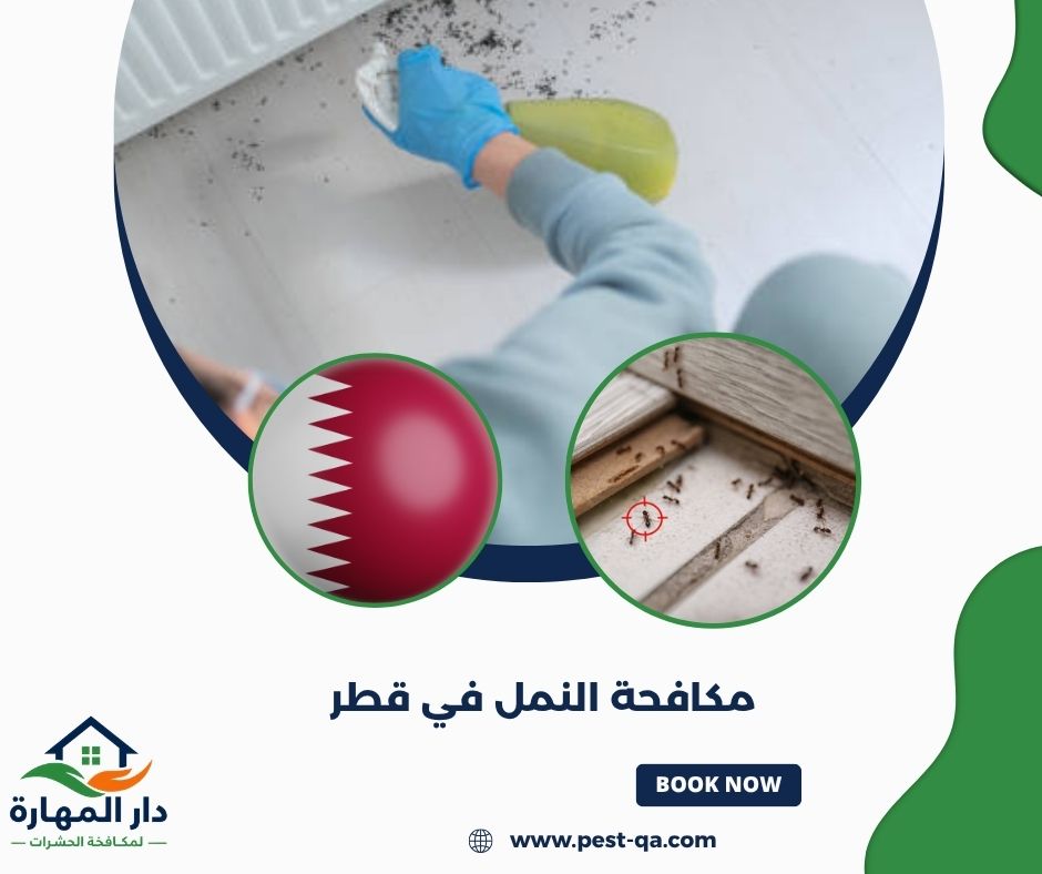 مكافحة النمل في الحديقة والحوش مكافحة النمل في الحديقة والحوش
