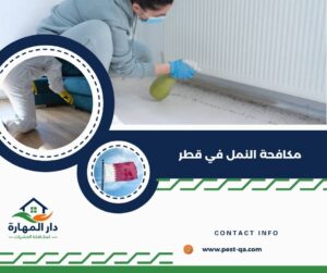 هل استخدام الطُعم أفضل من الرش للنمل؟