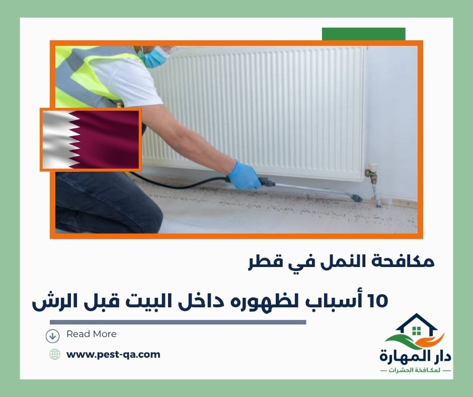 مكافحة النمل في قطر