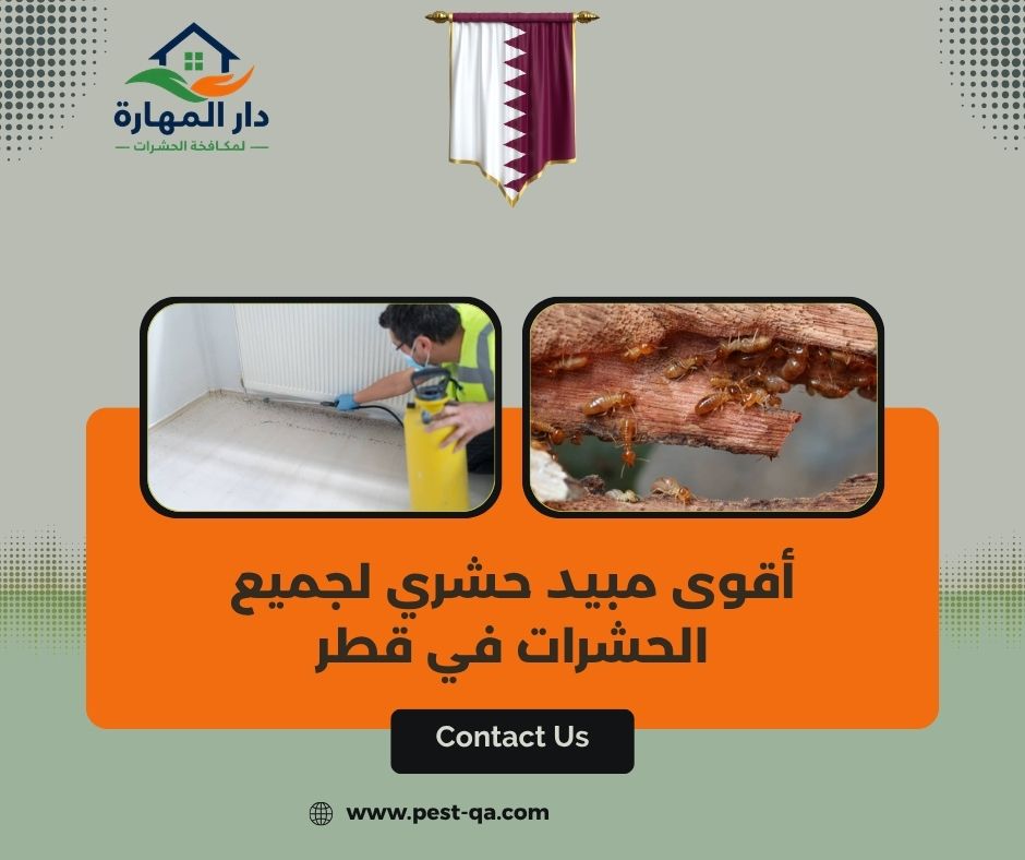 أقوى مبيد حشري لجميع الحشرات في قطر