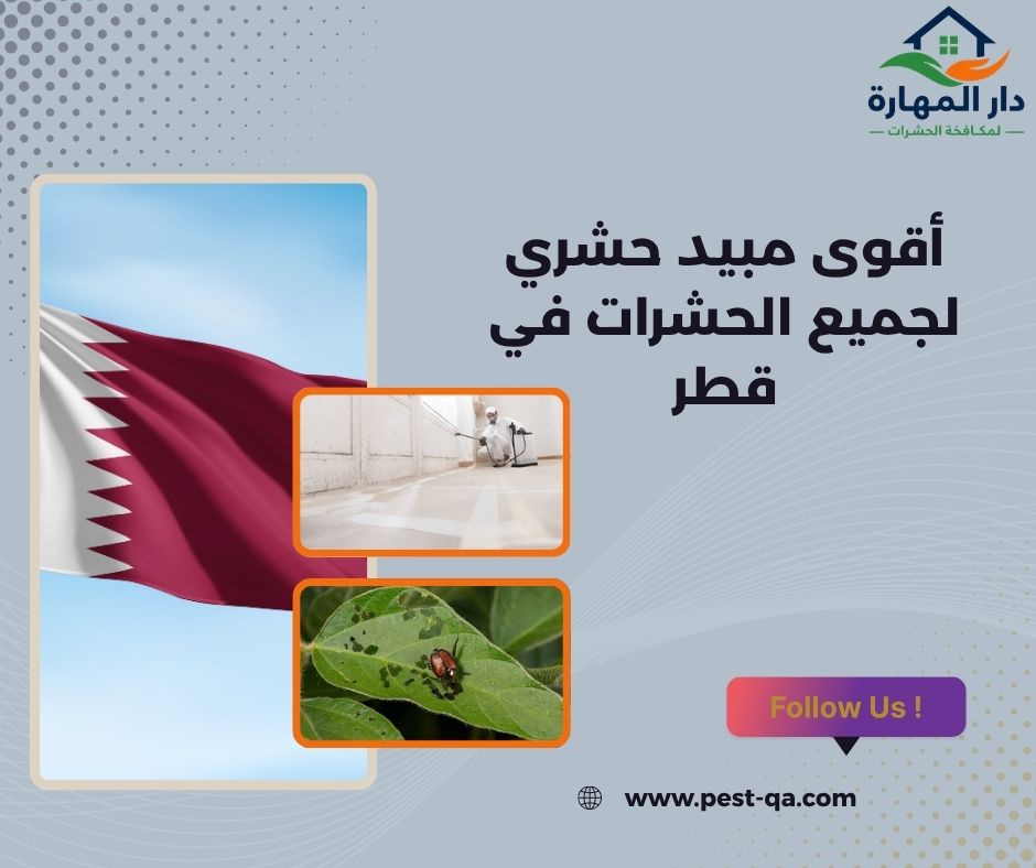 أقوى مبيد حشري لجميع الحشرات في قطر