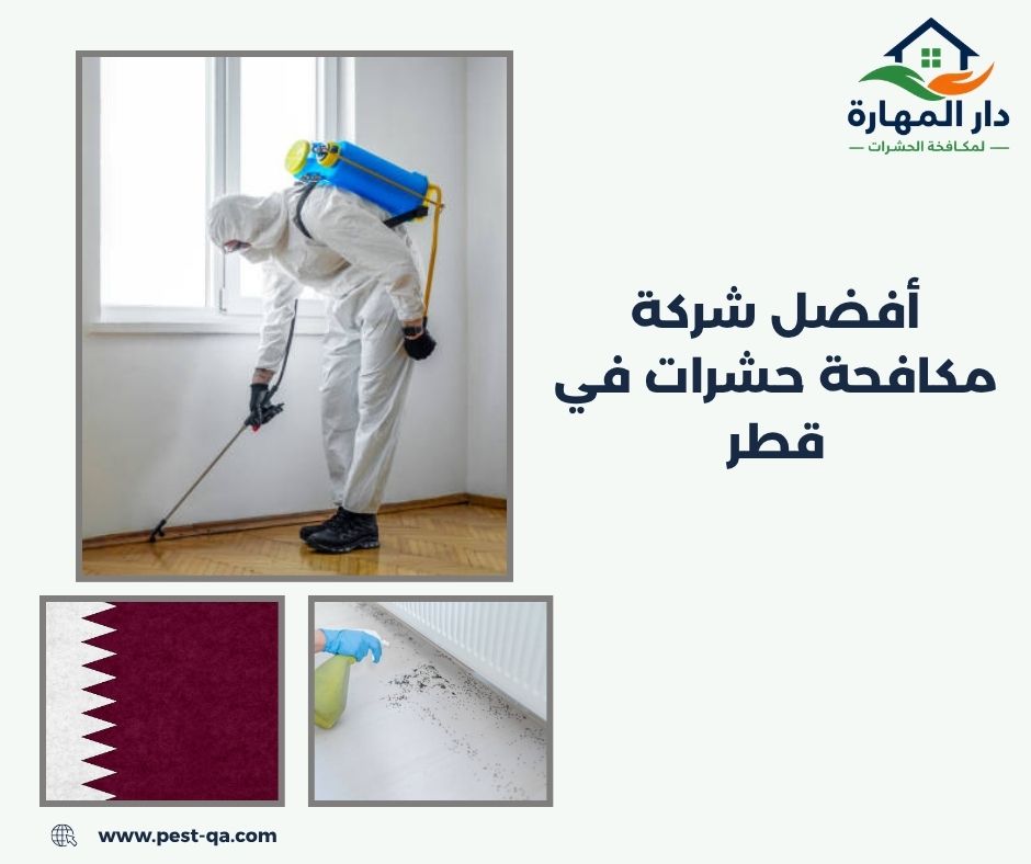 أفضل شركة مكافحة حشرات في قطر أفضل شركة مكافحة حشرات في قطر
