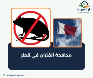 أفضل شركة مكافحة حشرات في قطر