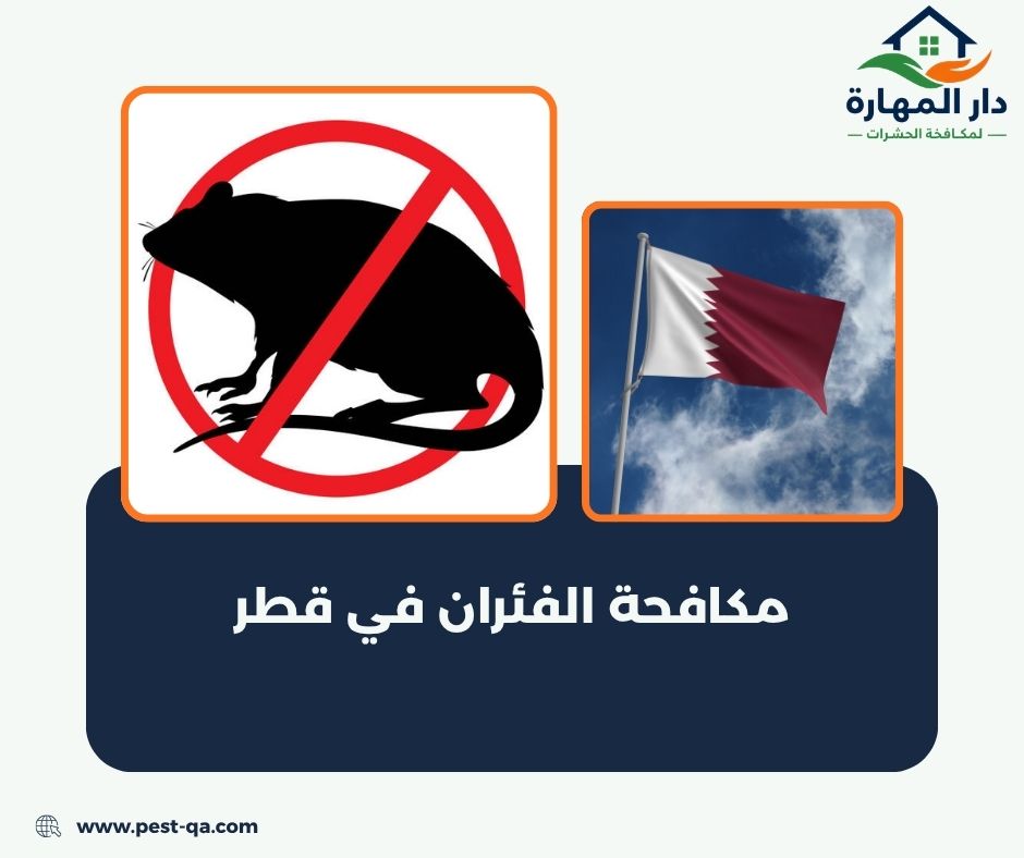 أفضل شركة مكافحة حشرات في قطر أفضل شركة مكافحة حشرات في قطر