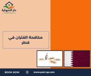 أفضل شركة مكافحة حشرات في قطر