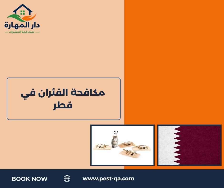 أفضل شركة مكافحة حشرات في قطر أفضل شركة مكافحة حشرات في قطر