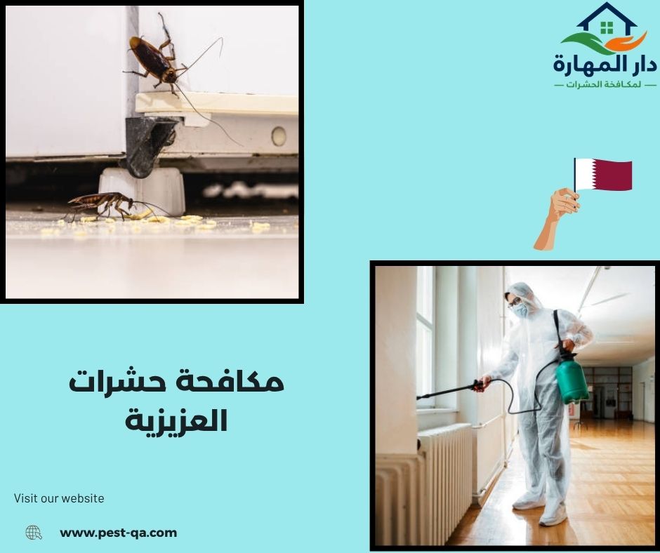 مكافحة حشرات العزيزية مكافحة حشرات العزيزية