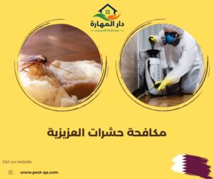 مكافحة حشرات العزيزية