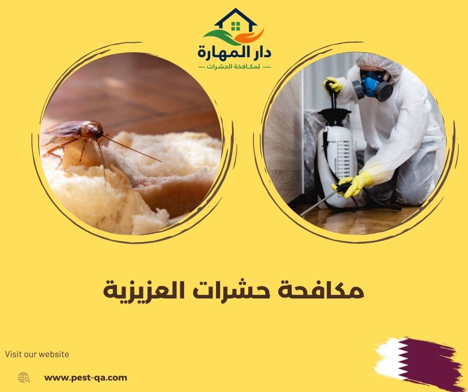 مكافحة حشرات العزيزية مكافحة حشرات العزيزية