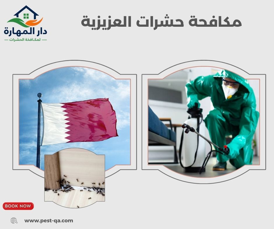 مكافحة حشرات العزيزية مكافحة حشرات العزيزية
