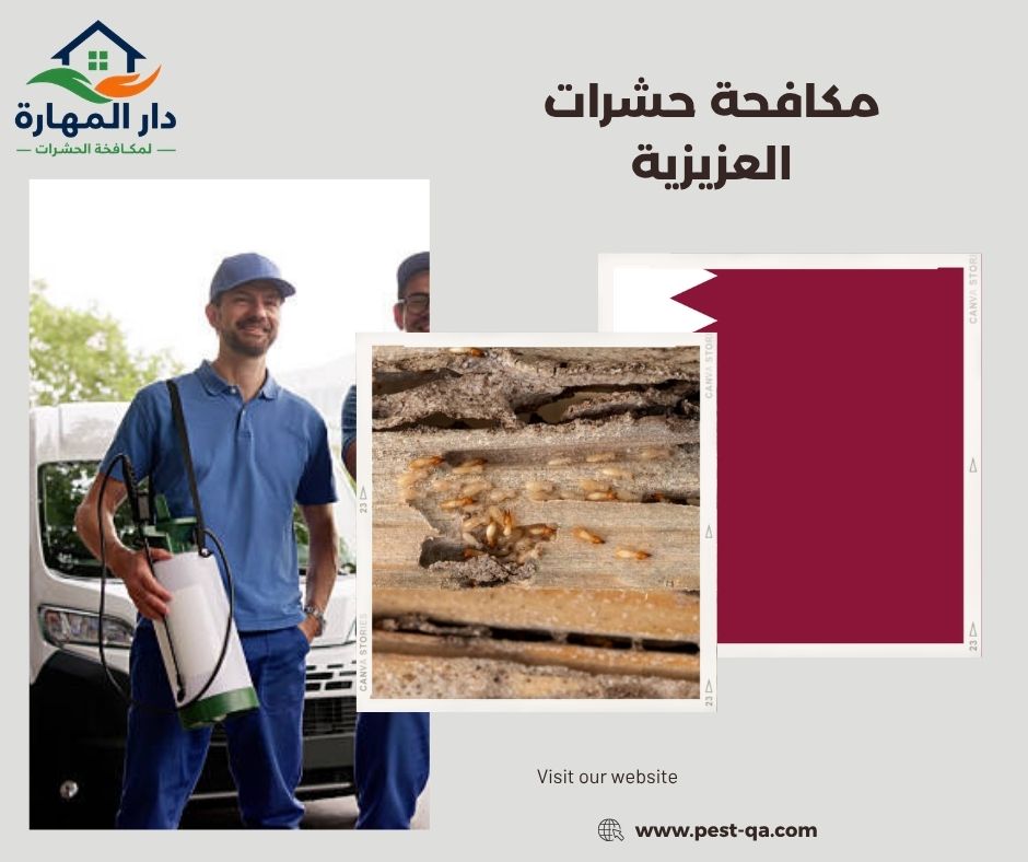 مكافحة حشرات العزيزية مكافحة حشرات العزيزية