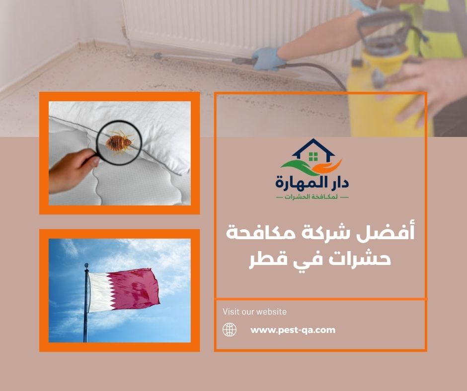 أفضل شركة مكافحة حشرات في قطر أفضل شركة مكافحة حشرات في قطر