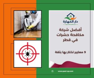 أفضل شركة مكافحة حشرات في قطر