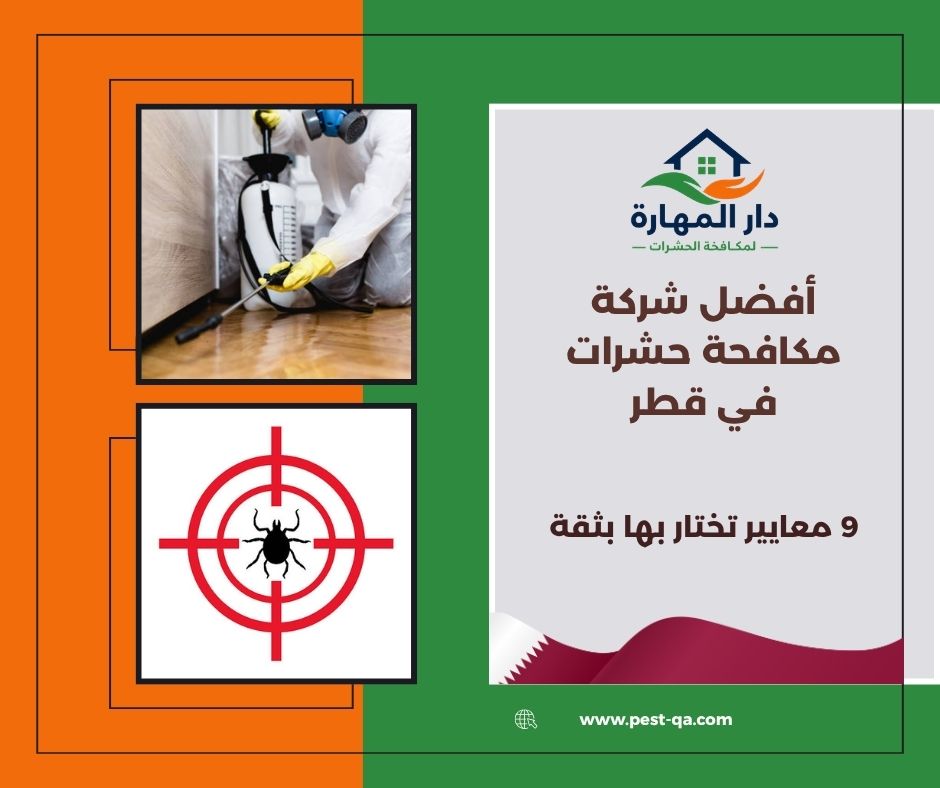 أفضل شركة مكافحة حشرات في قطر