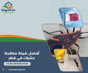 أفضل شركة مكافحة حشرات في قطر