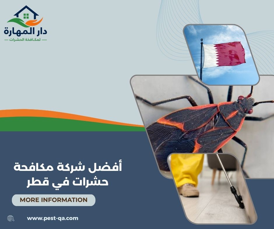أفضل شركة مكافحة حشرات في قطر أفضل شركة مكافحة حشرات في قطر