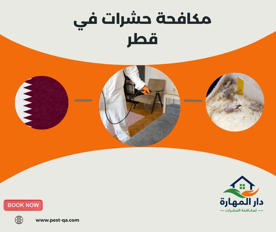 مكافحة حشرات في قطر