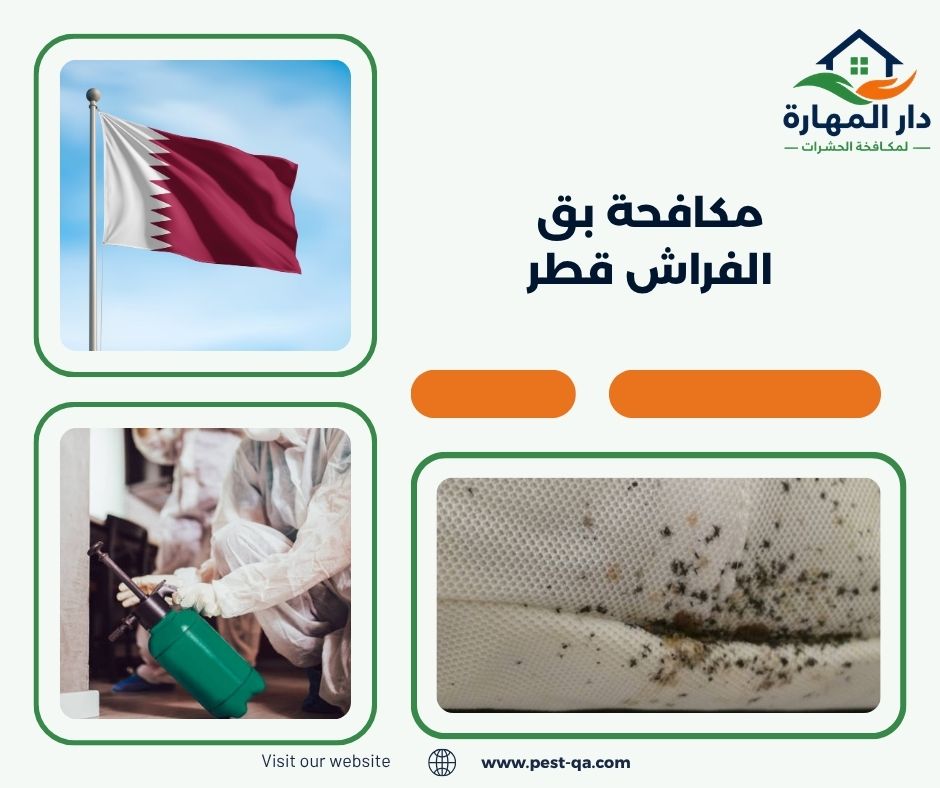 مكافحة بق الفراش قطر مكافحة بق الفراش قطر