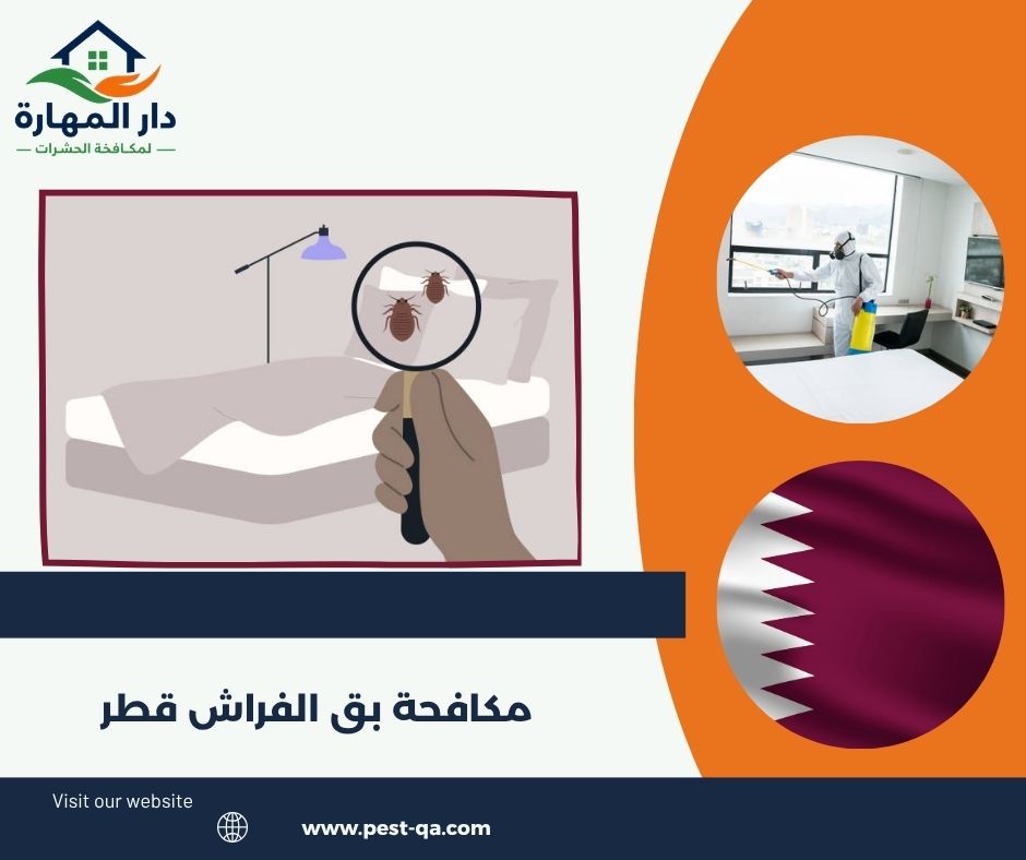 مكافحة بق الفراش قطر مكافحة بق الفراش قطر
