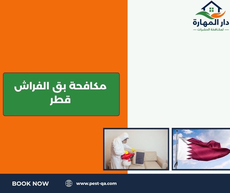 مكافحة بق الفراش قطر مكافحة بق الفراش قطر