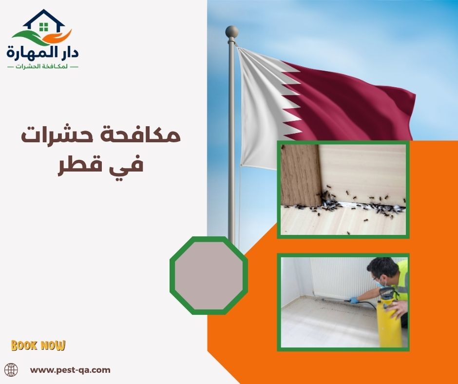 مكافحة حشرات في قطر