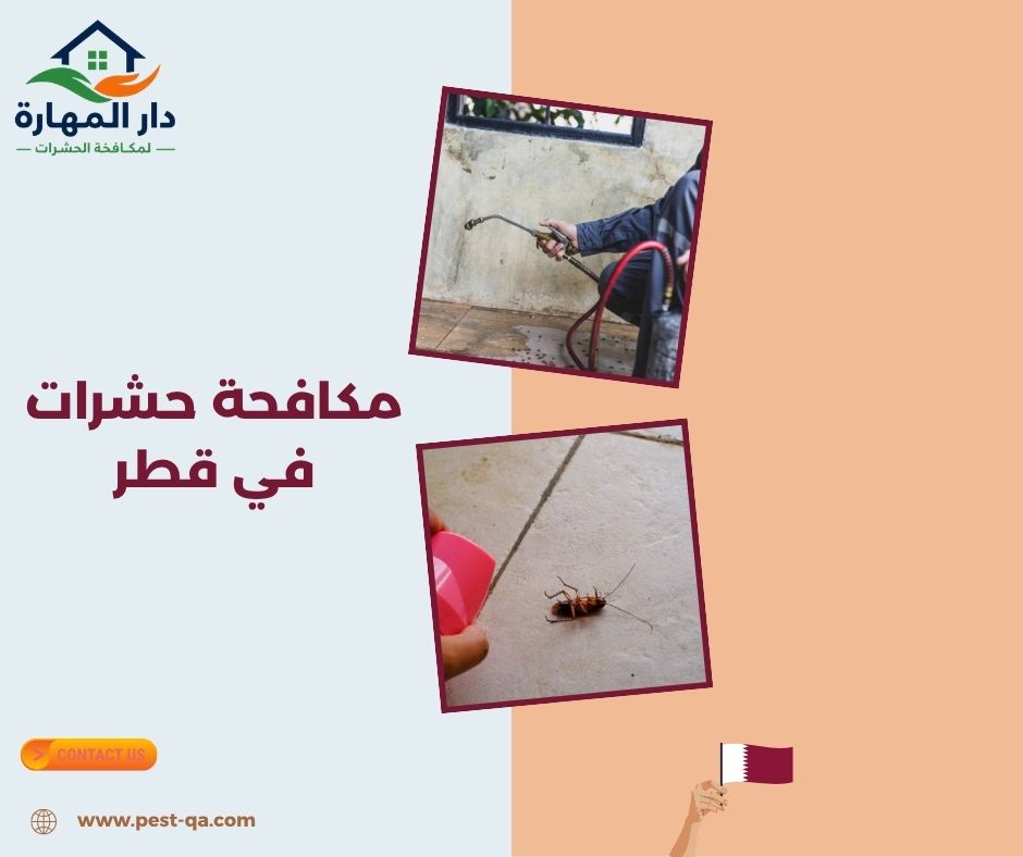 مكافحة حشرات في قطر