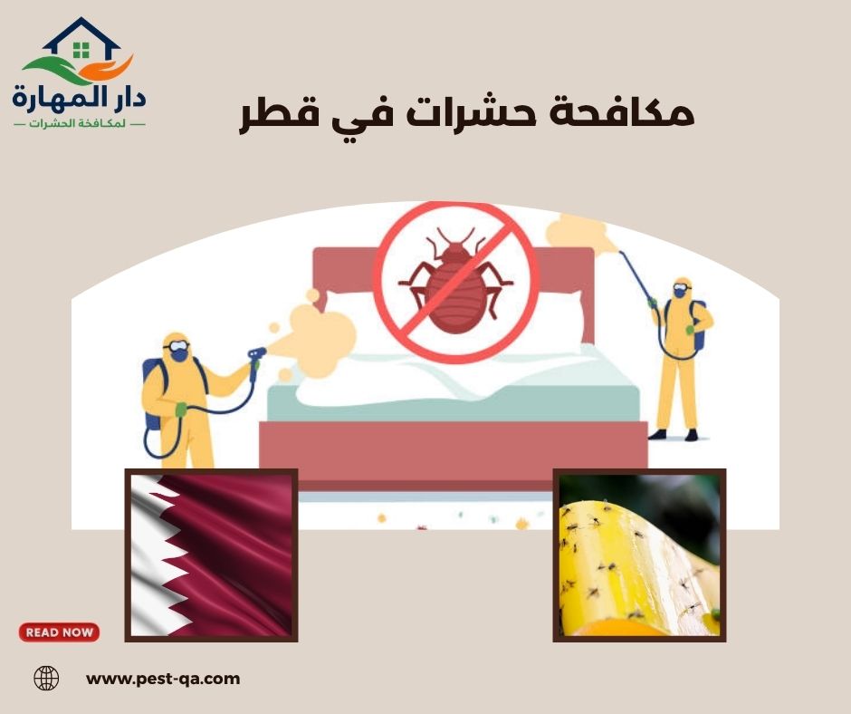 مكافحة حشرات في قطر