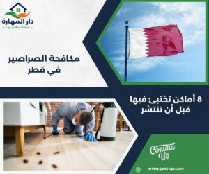 مكافحة الصراصير في قطر