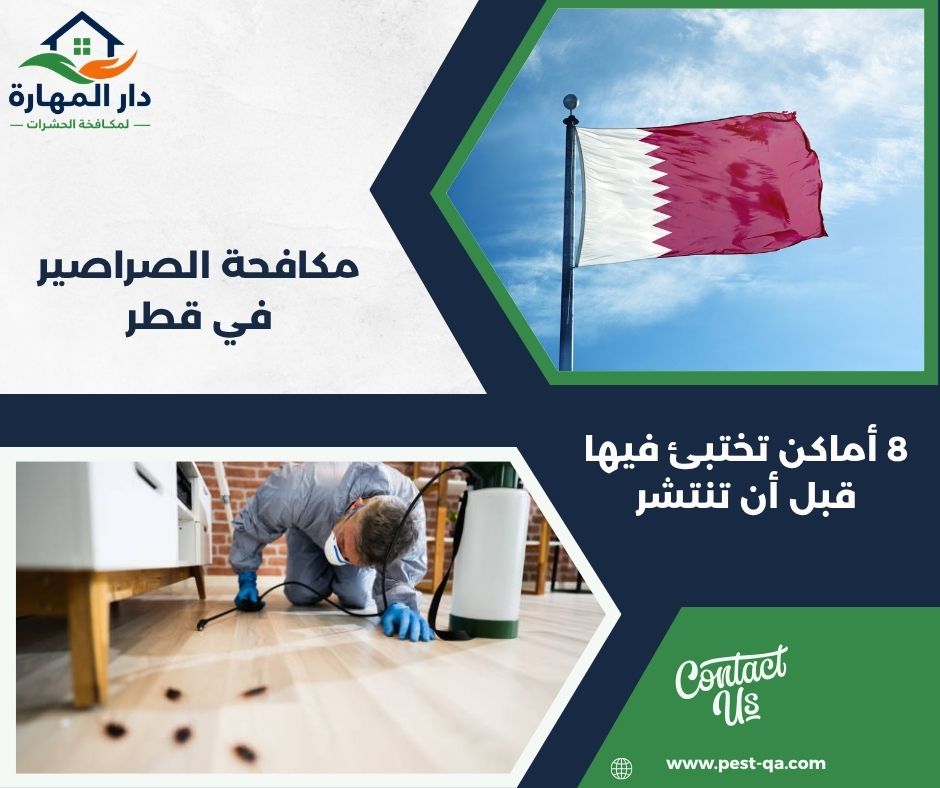 مكافحة الصراصير في قطر