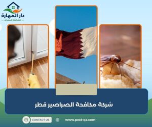 شركة مكافحة الصراصير قطر