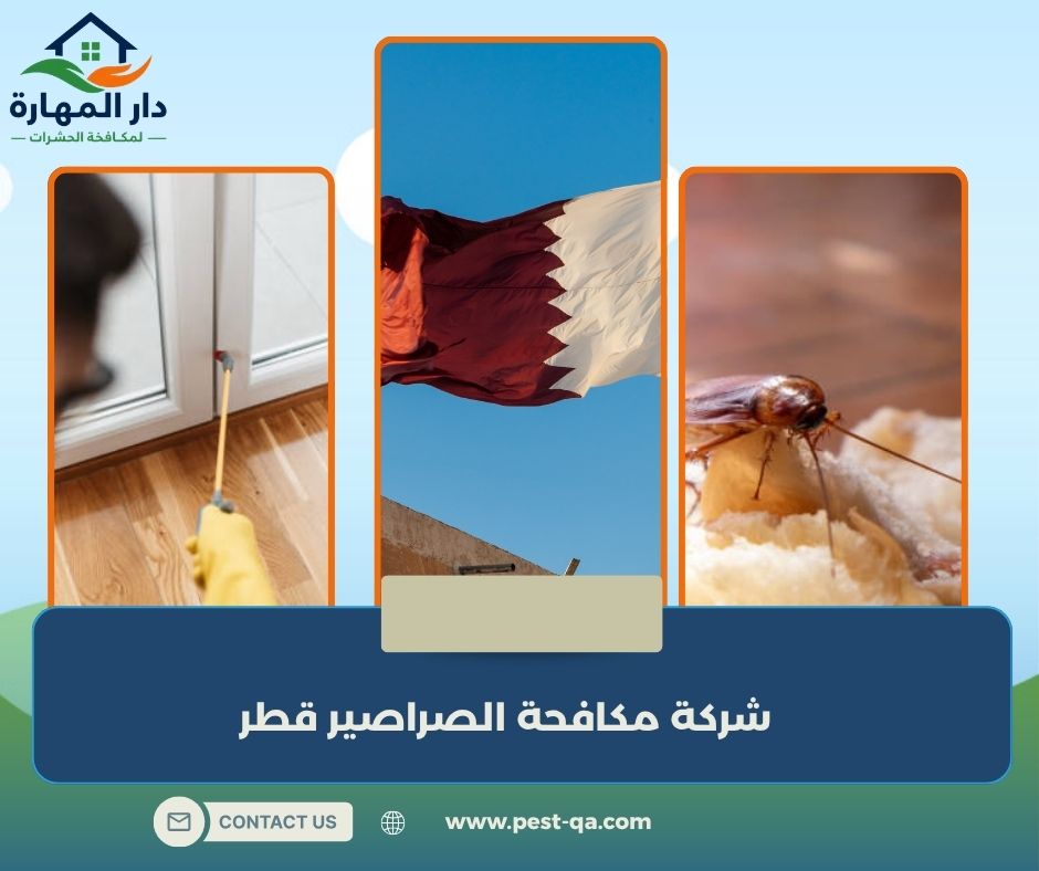شركة مكافحة الصراصير قطر شركة مكافحة الصراصير قطر