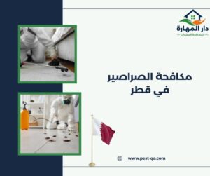 مكافحة الصراصير في قطر