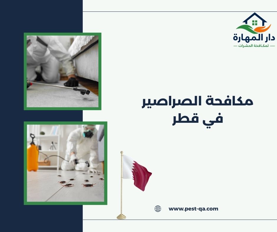 مكافحة الصراصير في قطر