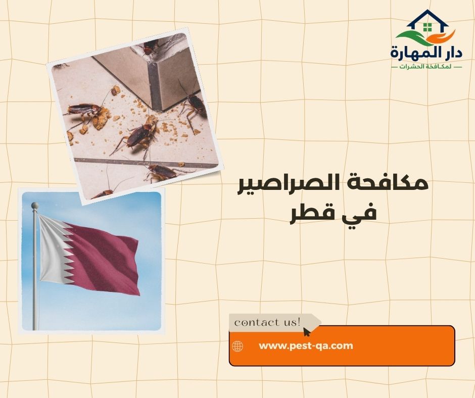 مكافحة الصراصير في قطر
