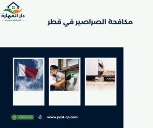 مكافحة الصراصير في قطر