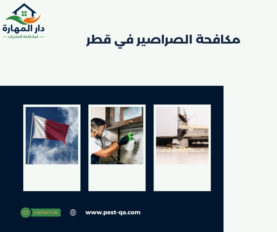 مكافحة الصراصير في قطر
