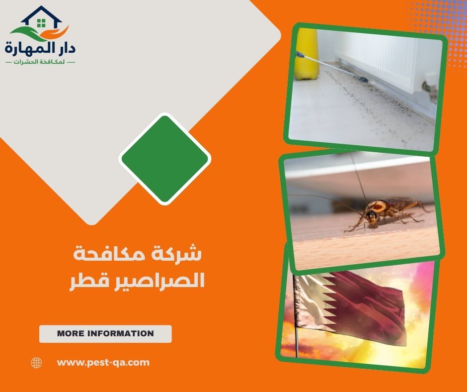 شركة مكافحة الصراصير قطر شركة مكافحة الصراصير قطر