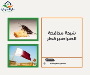 شركة مكافحة الصراصير قطر